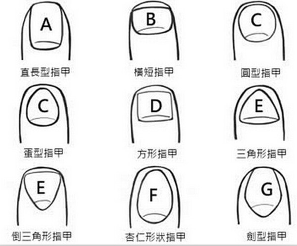 指甲形状看性格特点