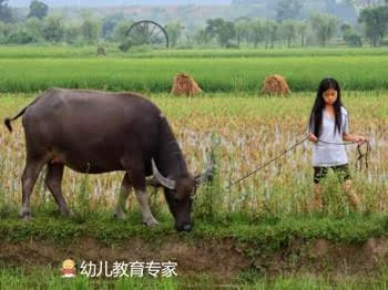 农村孩子这样养,看完你庆幸孩子在城市吗?