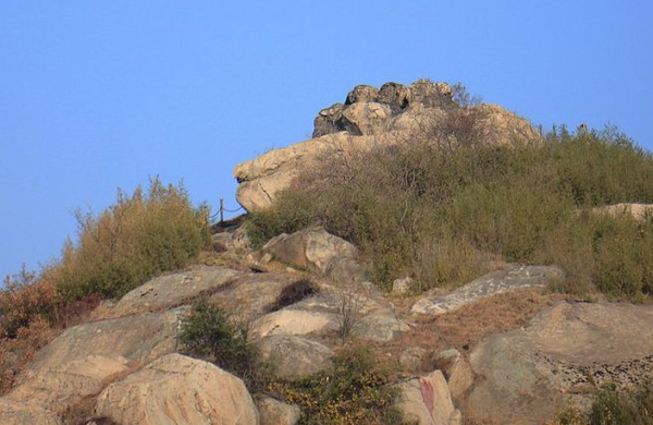 旅游 正文  只要是苏州当地人,都知道狮子山外形很像一只狮子的,小