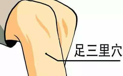 3,足三里
