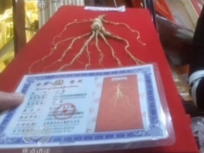 有虚伪检测陈述的人参