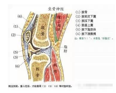 有许多种膝盖过度损伤   1,前膝盖疼(又叫髌股关节疼) 2,髌腱炎 3