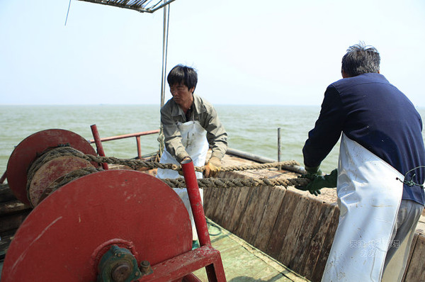 天津北塘哪有海鲜_天津男子在北塘海鲜一条街停车被索停车费交警：建通车业不具备...(3)