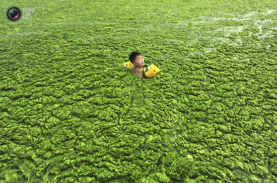 图片故事丨中国水污染,伤了每代人