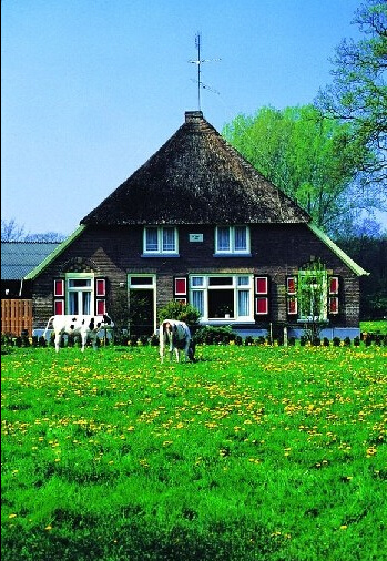 荷兰农村房屋美如仙境!