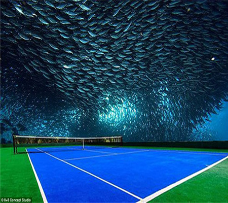 迪拜将建水下网球场,头顶海鲜看网球