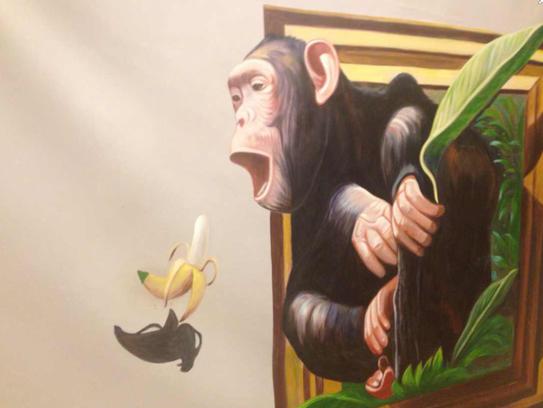 猩猩吃香蕉的试验
