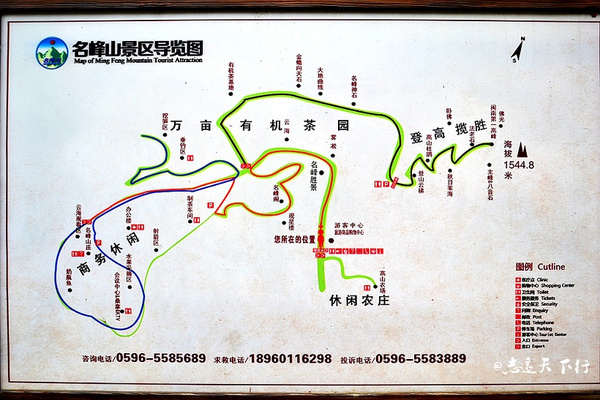 【最美五月】登漳州大芹山,赏杜鹃花海茶园风