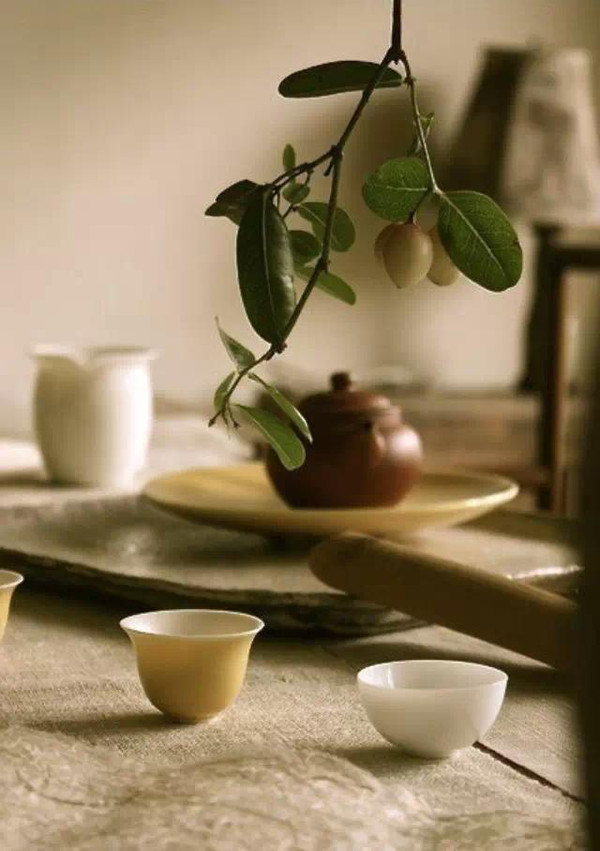 茶言茶语：喝茶两个动EVO视讯地址作 拿起和放下