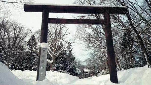 思越木结构 冬天的北海道神殿