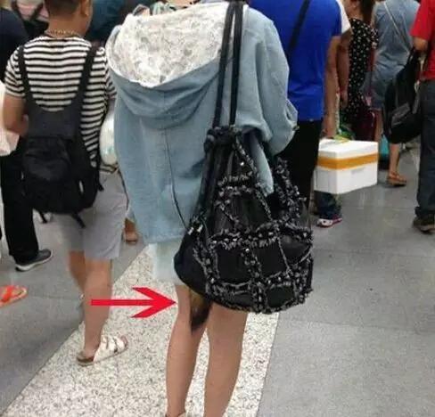 小婊砸,你的狐狸尾巴漏出来了意思建筑ac2什么图纸图片