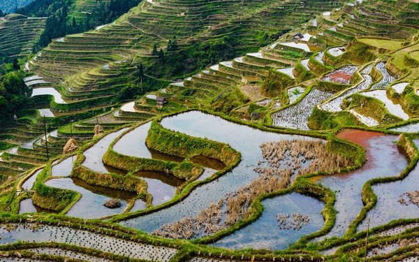 贵州加榜梯田,欣赏最原始的美