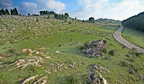 云阳岐山草场