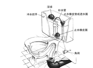 马桶水箱里放洁厕块 污水会倒流进自来水(图)