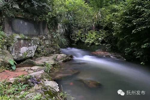 解码麻姑山