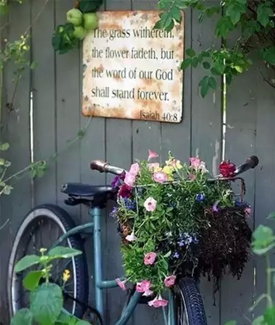 若家中有闲置旧物,就任性地把家里变成花园吧
