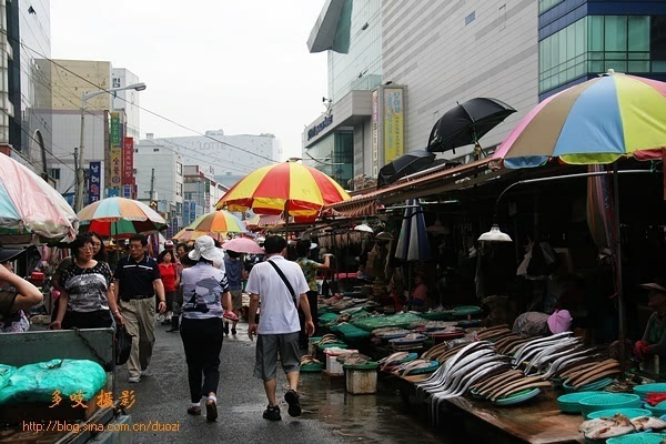 扎嘎其海鲜市场_釜山：札嘎其鱼市场的“女掌门”