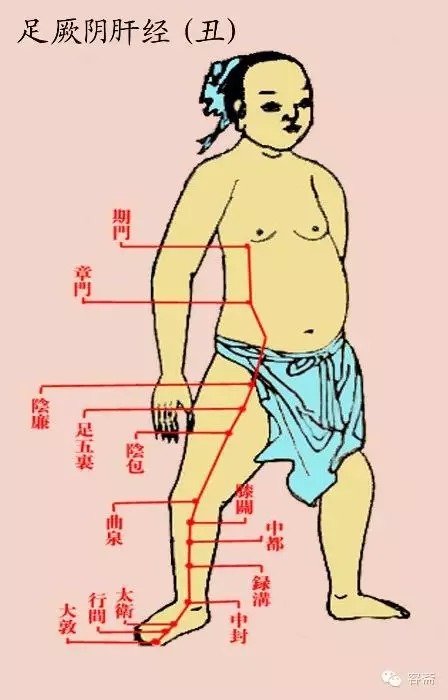 传统文化:人体十二经走向图(仔细收藏,有用的很