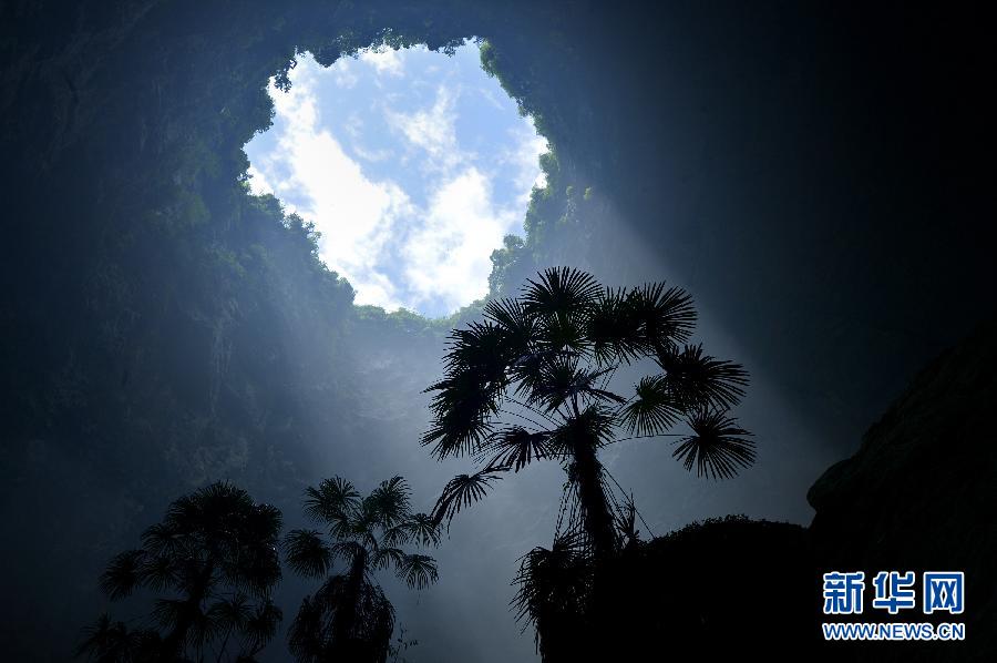 天坑里的"动植物王国(图)