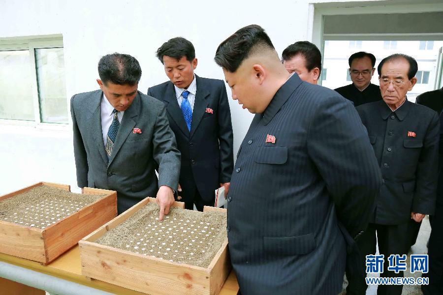 金正恩视察朝鲜大同江甲鱼养殖场 提出严厉批