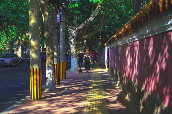 青岛大学路上的咖啡文化:隐匿在闹市里的心灵净区-搜狐