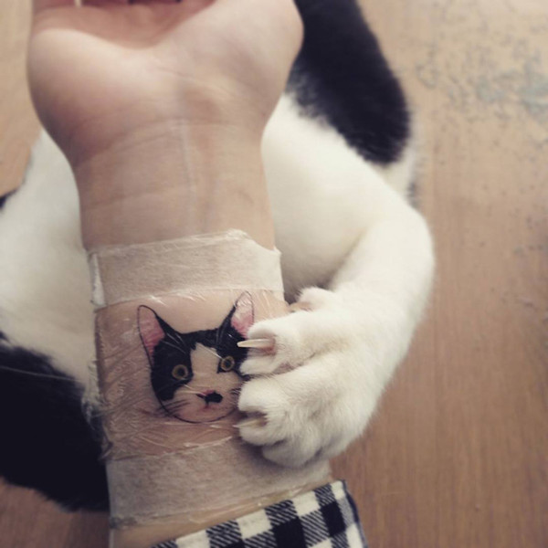可爱的猫咪纹身可能打破韩国的法律规定