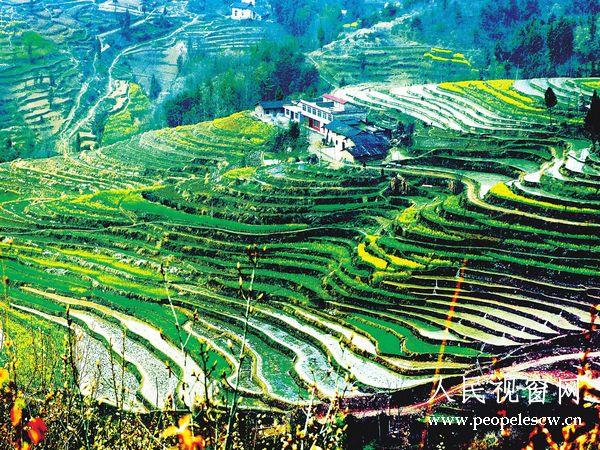 安康市平利县洛河镇:万孝明是咋