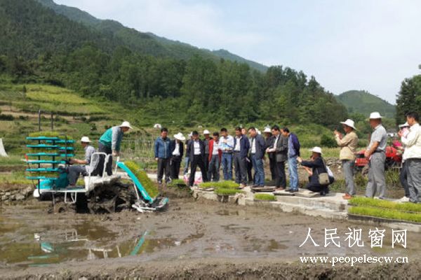 安康市平利县洛河镇:万孝明是咋