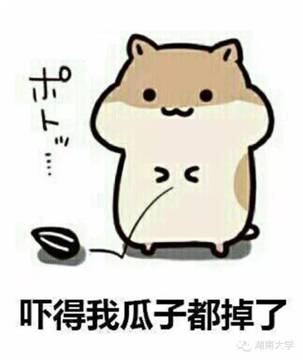 看看11942年湖本科长这是白手起家搞笑图片的毕业论文,大学真正图片