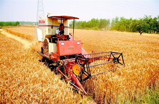 图文:襄州区机收小麦