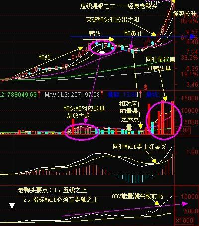 千金难买老鸭头