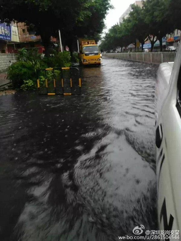 今天520大暴雨,深圳"沦陷了,快来看海!