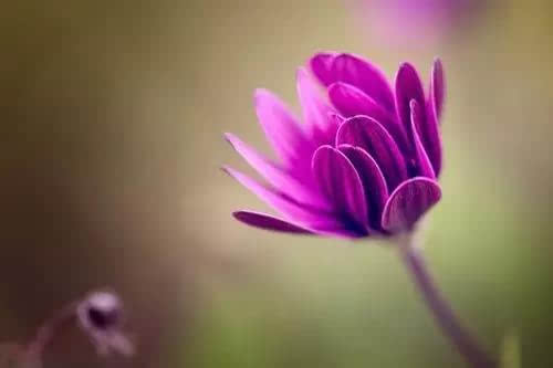 Ӱ | Ӱʵü