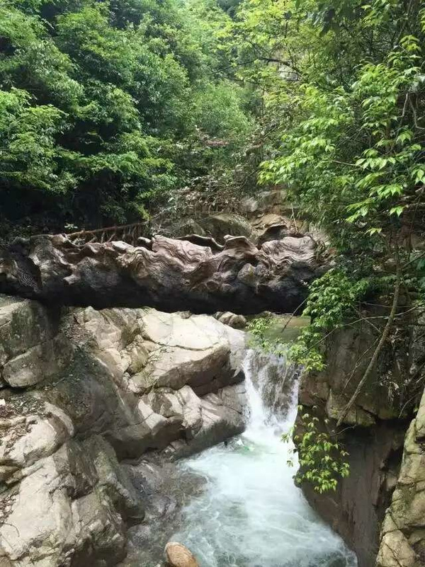 婺源又添一大旅游新景区—石门山峡谷