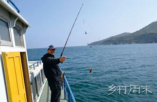 牟平养马岛海鲜的作用_养马岛秦始皇_海鲜图片大全(2)