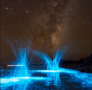 澳大利亚塔斯马尼亚岛霍巴特海岸线荧光闪烁