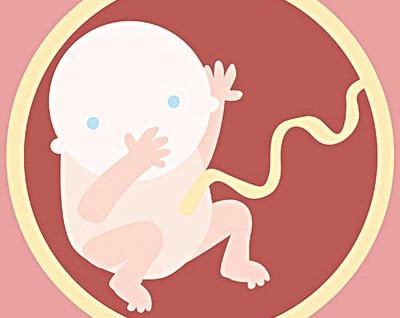 怀孕早期胎停育的症状有哪几方面的表现