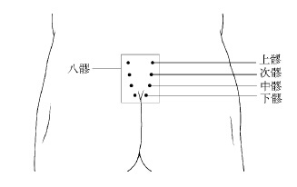 (5)用手掌在骶部八髎穴来回摩擦,以透热为度,摩擦2分钟.