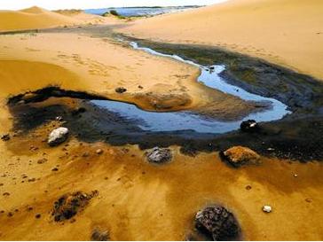 腾格里沙漠污染环境案4名公职人员被立案侦查
