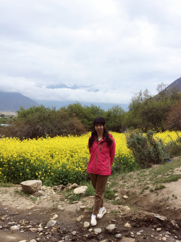 这藏地江南的美名真不是虚名,绿树和江南一样繁盛,花儿和江高清图片