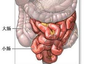 腹部包块   由于小肠活动度大,位置又不固定,所以小肠肿瘤在体验时偶
