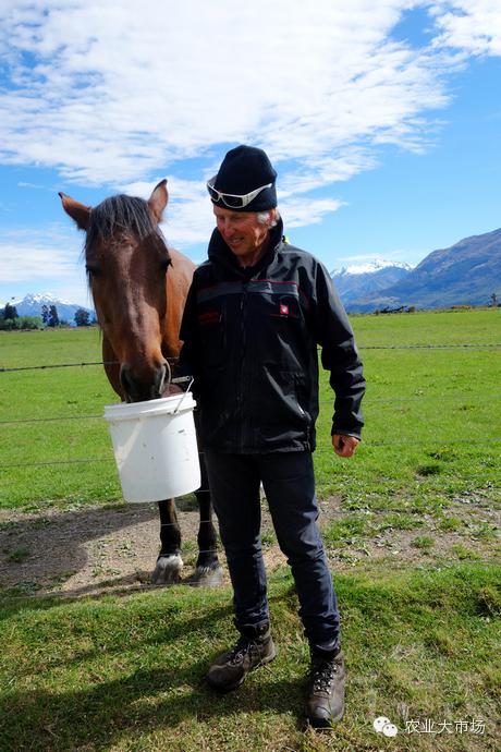 看世界 | 你知道新西兰的私人农场有多大吗?