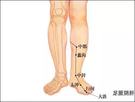 生发功能,导致气郁,气郁则血流不畅,必然出现四肢冰冷,全身无力的症状