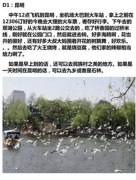 云南12天游玩最強(qiáng)旅行攻略