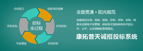 电子招投标的成功实施已有例可循,机电产品国际招标所取得的成绩500