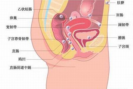 北京无痛人流医院专家谈药流和 无痛人流