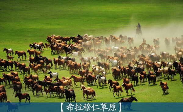 去内蒙古旅游要多少钱?