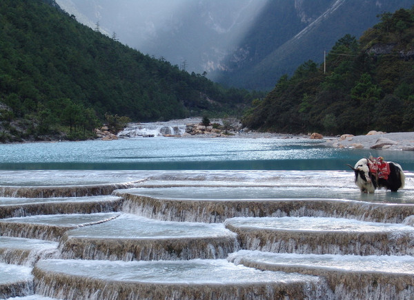 路线:成都-彭州-龙门山镇-宝山村 白水河自然保护区位于成都平原北部