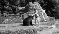 一名波兰男子在华沙的动物园中，爬进了熊的领地，然后他竟然冲向母熊将其揍了一顿，然后就转身离开了。