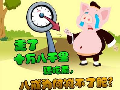 我吃了10粒花儿瘦的减肥药只瘦了3斤健身节食今天胖了图片